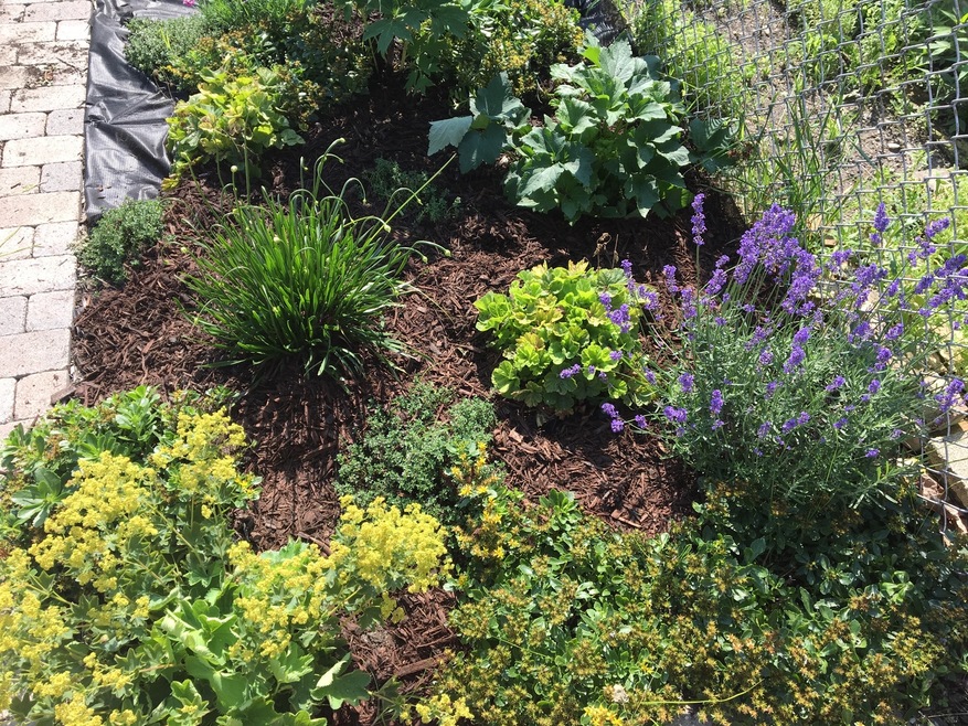 1534 Wesley Ave, Berwyn, IL 60402 - photo 1