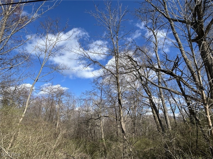 V/L Dock Rd, Madison, OH 44057 - photo 1