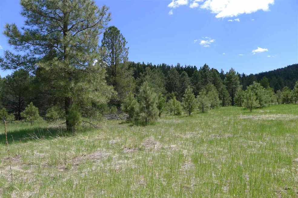 9 Copper Canyon Ct unit 12++, Cloudcroft, NM 88317 - photo 1