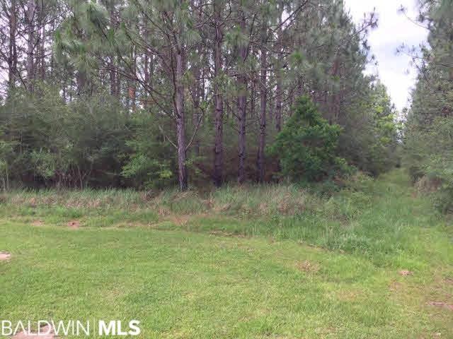 0 Jernigan Ln unit 253538, Robertsdale, AL 36567 - photo 1