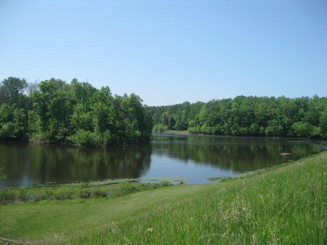 Main View