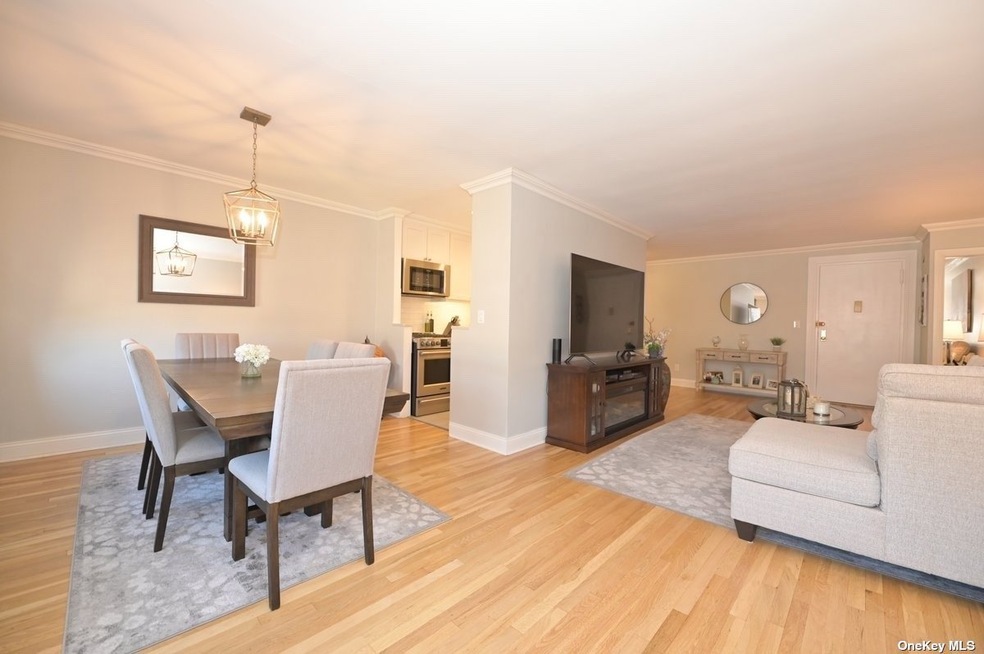 Birchwood Court unit 5J, Mineola, NY 11501 - photo 1