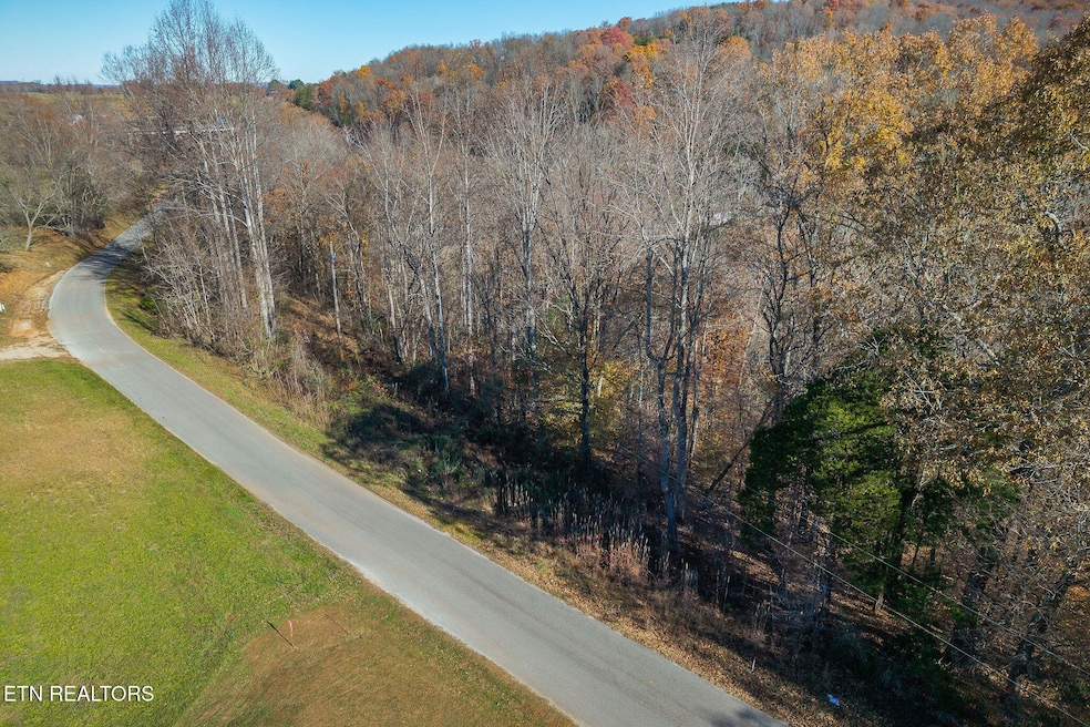 0 E Bethlehem Rd, Sparta, TN 38583 - photo 1