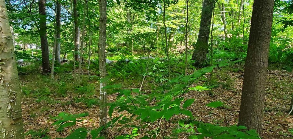 5 Tebbetts Rd, Rochester, NH 03867 - photo 1