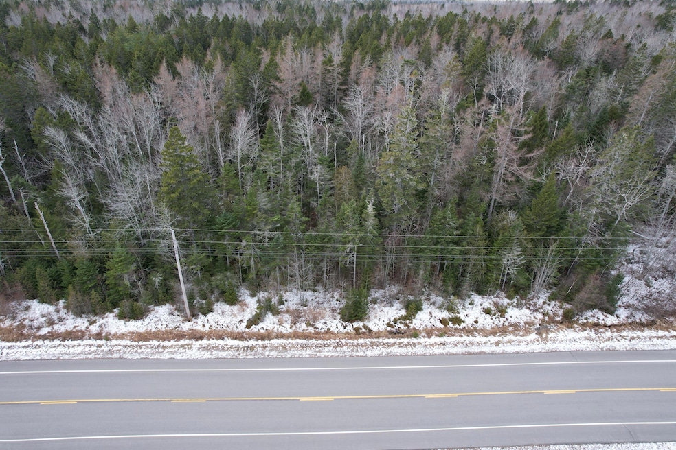 Lot 51 Route 1, Pleasant Point, ME 04667 - photo 1