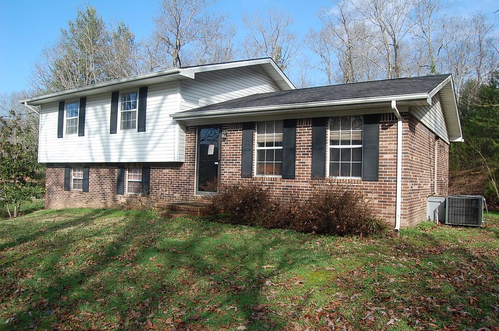 1238847 - 737 John Burch Rd 003