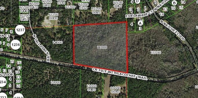 1785 E Withlacoochee Trail, Dunnellon, FL 34434 - photo 1