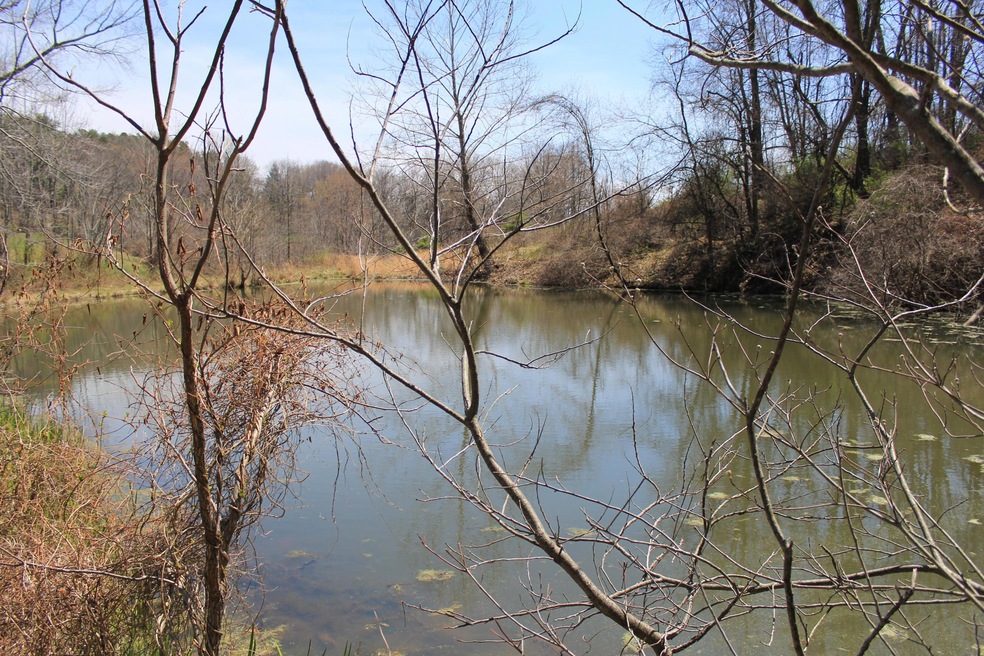 30100 Blosser Rd, Logan, OH 43138 - photo 1