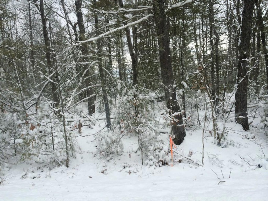 1035 Tatnic Rd, Wells, ME 04090 - photo 1