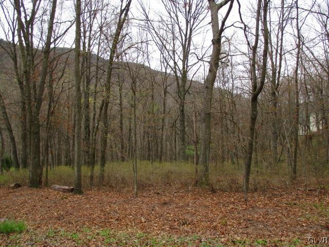 0 2nd Ln, Jim Thorpe, PA 18229 - photo 1