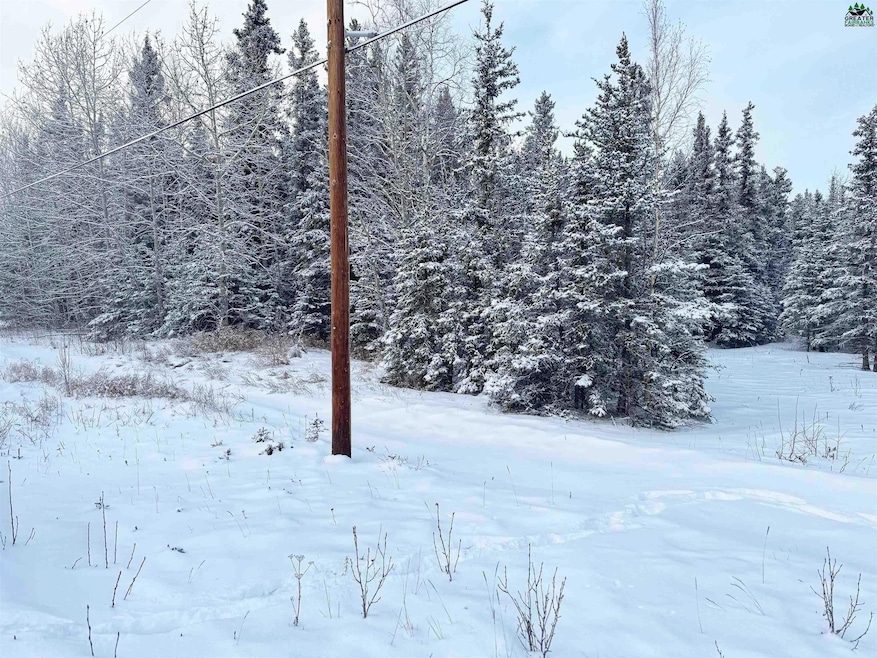 L11 B13 Kimball St, Delta Junction, AK 99737 - photo 1