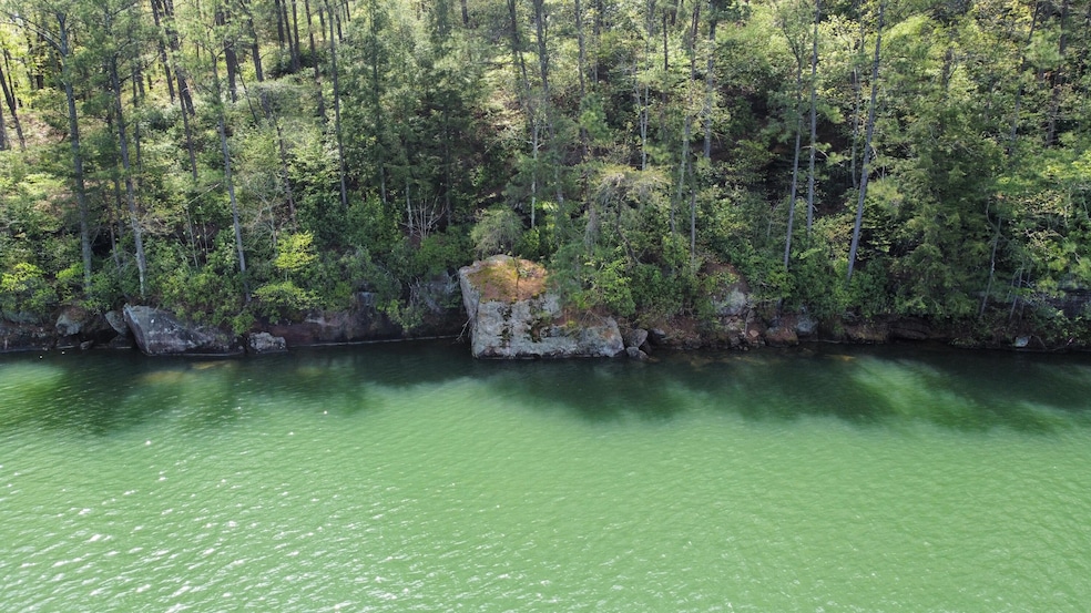 Lot 59 Sipsey Overlook Rd, Double Springs, AL 35553 - photo 1