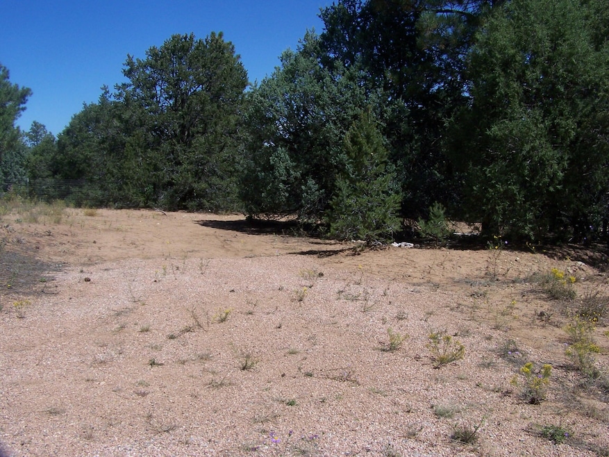 12,38,40 Camino Circular, Cedro, NM 87059 - photo 1
