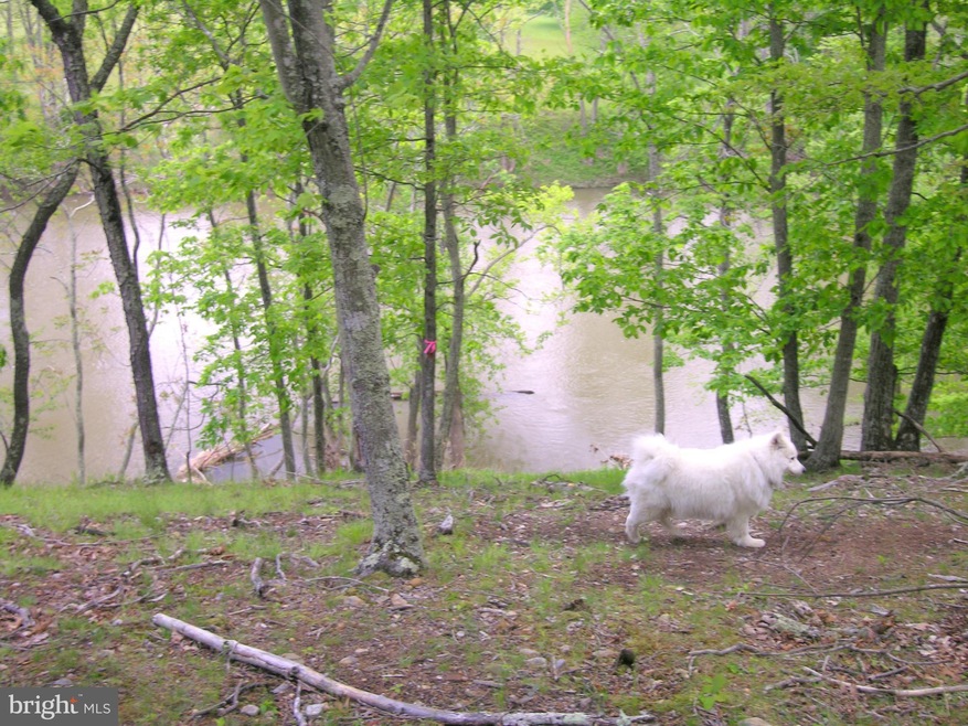 15 River Bend Dr, Bloomery, WV 26817 - photo 1