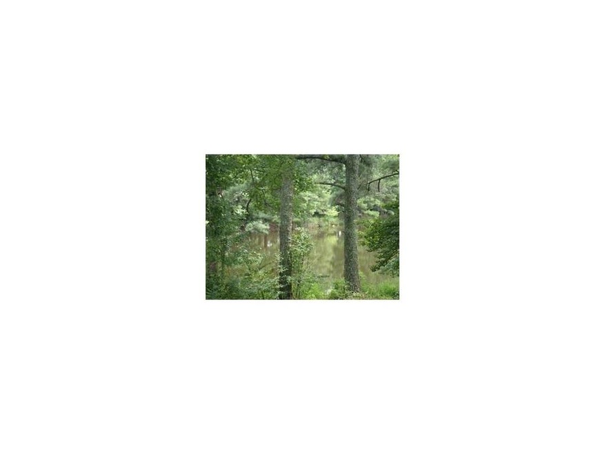 1377 Loganville Hwy, Bethlehem, GA 30620 - photo 1