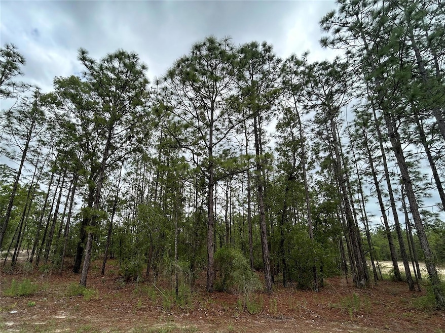 Pending $49,900 • Co-Listing Agent