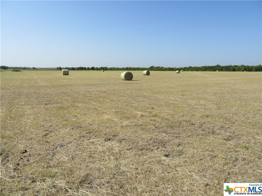 TBD Fm 935 Tract 6, Troy, TX 76579 - photo 1
