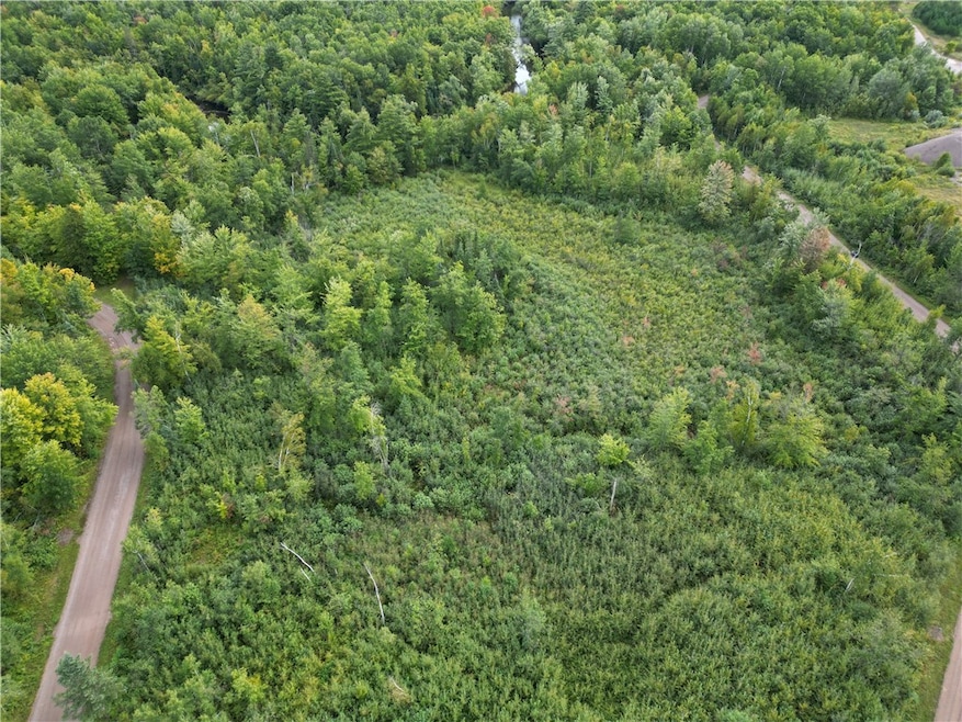 8+ Acres On Thornapple River, Ladysmith, WI 54848 - photo 1