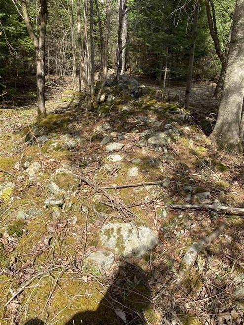 11-4 Wells Rd unit 11-4, Franconia, NH 03580 - photo 1