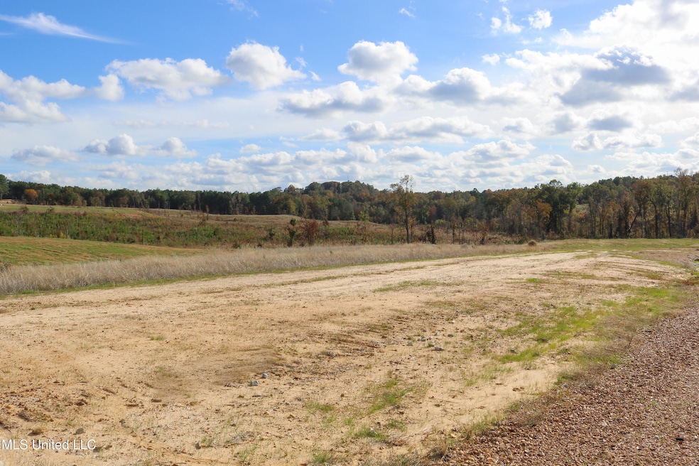 Tract 8 Hugh White State Park Road-1