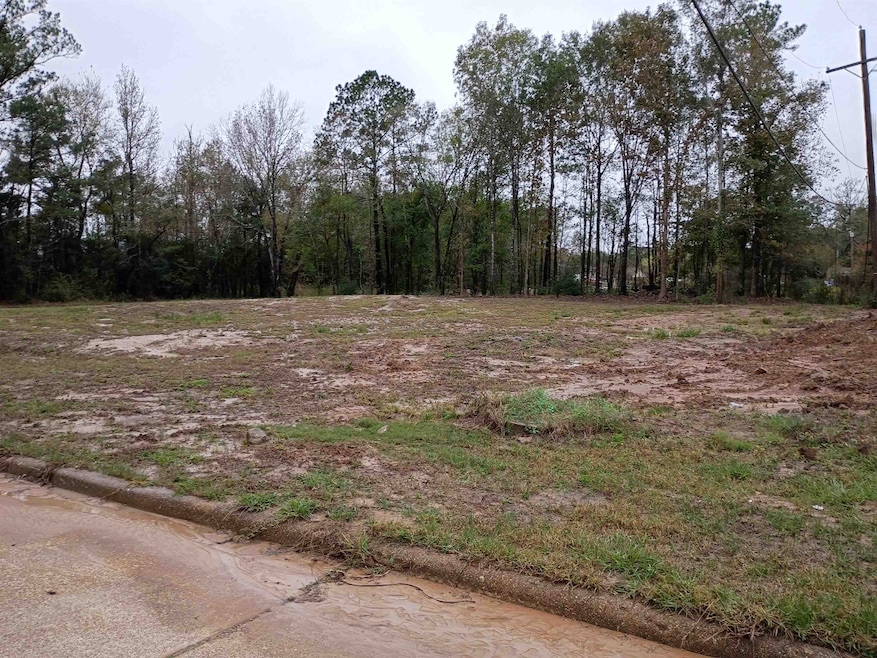 940 Dundee Dr, Vidor, TX 77662 - photo 1