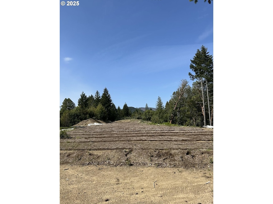 0 Redwood Hwy unit 403563901, O'Brien, OR 97534 - photo 1