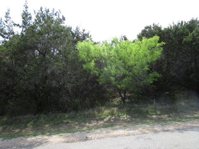 12208 Rolling Oaks Dr, Whitney, TX 76692 - photo 1