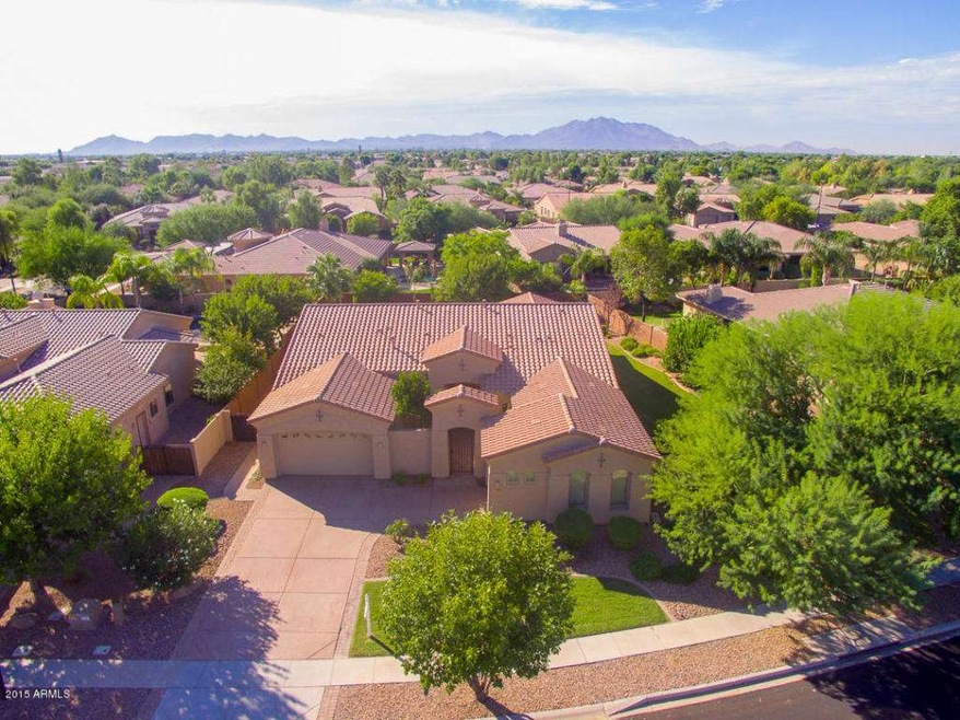 TW Lewis Basement home in Power Ranch