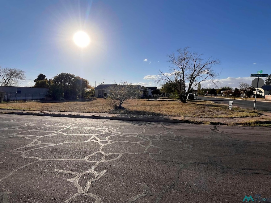 515 E Clinton St, Hobbs, NM 88240 - photo 1