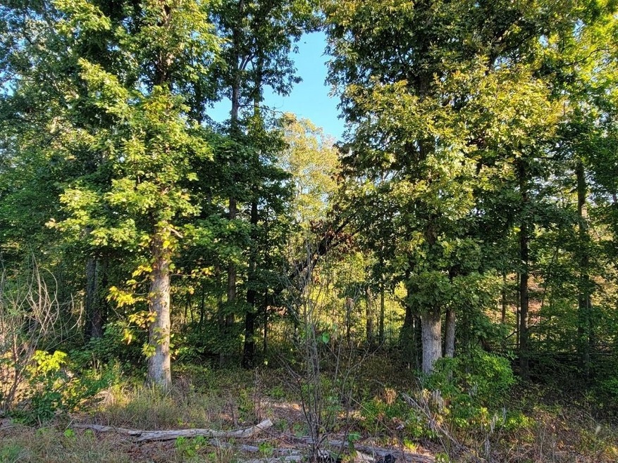 0 Dunvegan Dr unit 1200740, Bella Vista, AR 72715 - photo 1