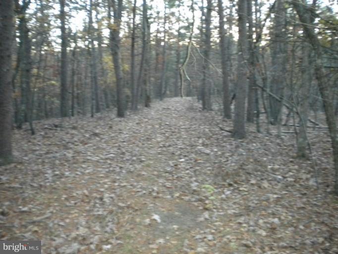 2237 Siler Rd, Winchester, VA 22603 - photo 1