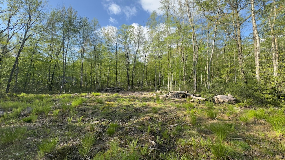 0 Butternut Road & Mahogany Rd, Jim Thorpe, PA 18229 - photo 1