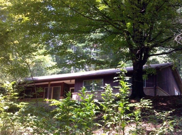 Main View