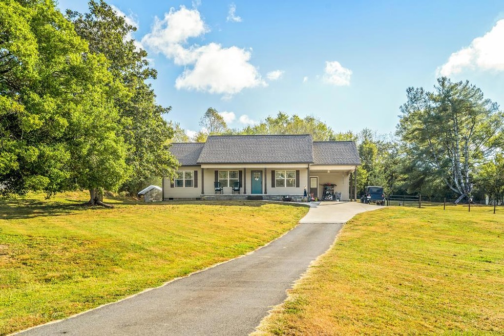 Main View