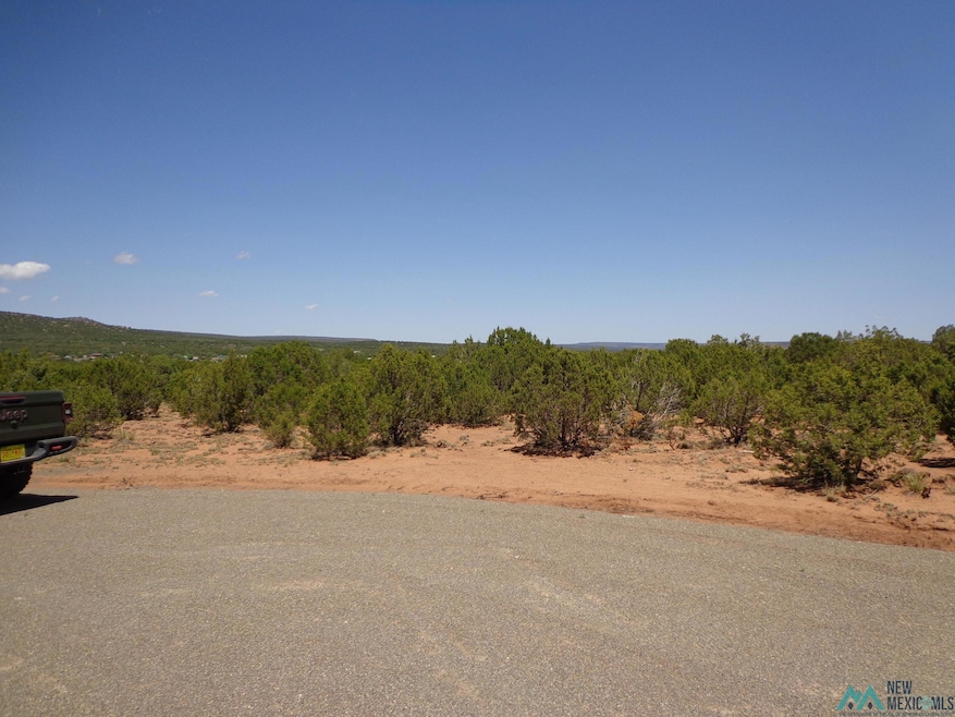 Tr 2A Camino Del Sol Rd, Bernal, NM 87569 - photo 1