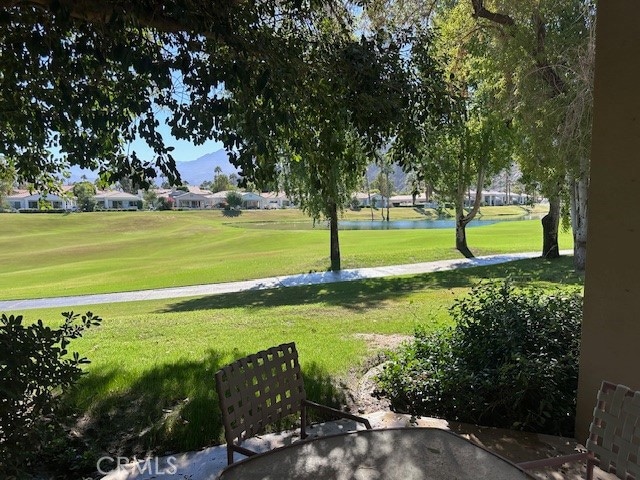 View from back patio