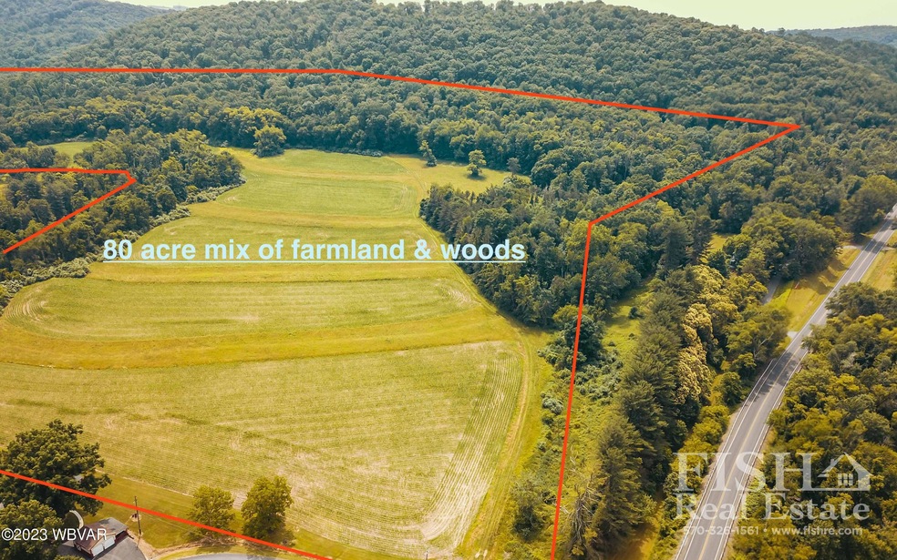 0 Weaver Rd unit WB-97033, Muncy Creek, PA 17756 - photo 1