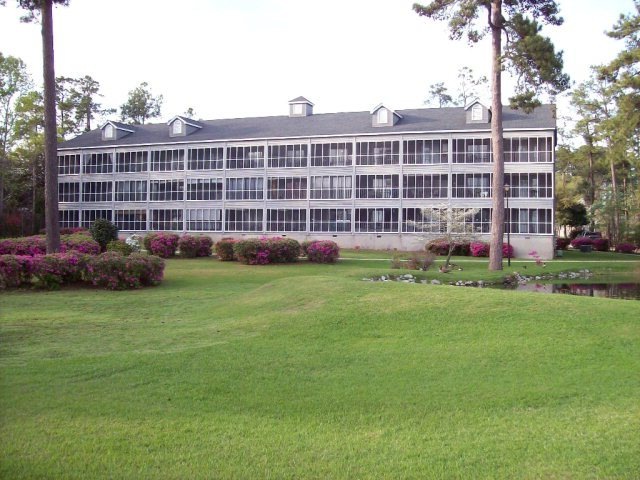 Main View
