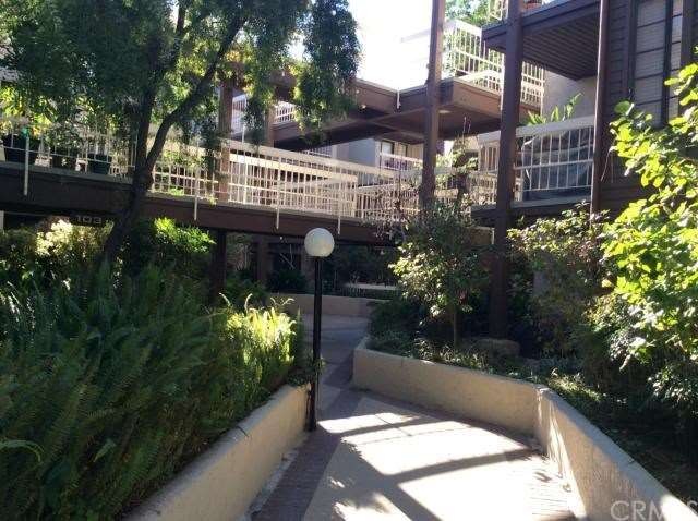 Lush Complex above Glenoaks.