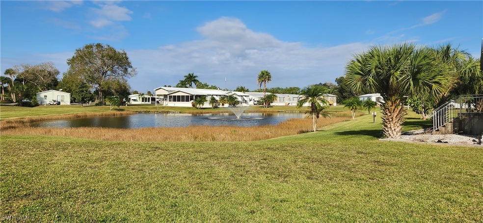 Pond view
