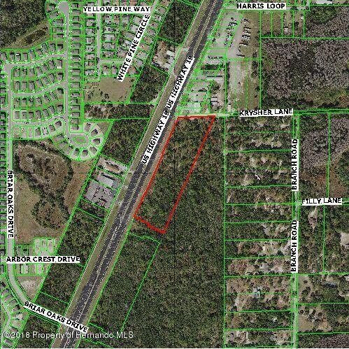US HWY 19 - Aerial - 7 Acre Parcel