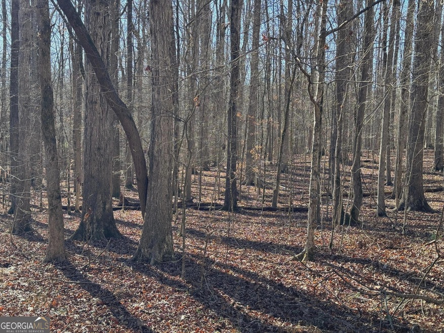 0 Staghorn Trail unit 10250443, Nicholson, GA 30565 - photo 1