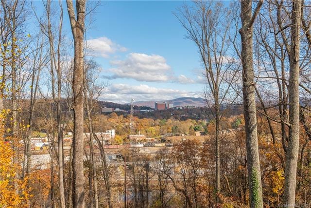 EPIC VIEWS across the French Broad River, the River Arts District, Downtown Asheville, and the mountains beyond!