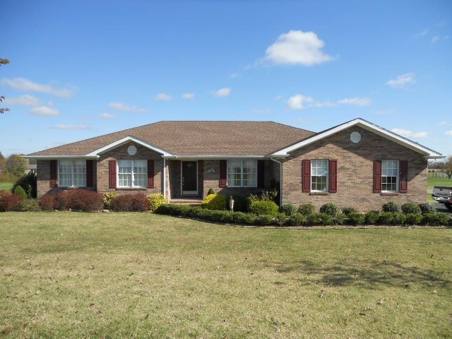Main View