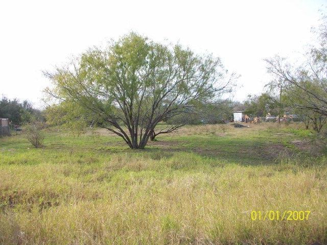 8219 Mel C Grey Rd, Weslaco, TX 78599 - photo 1