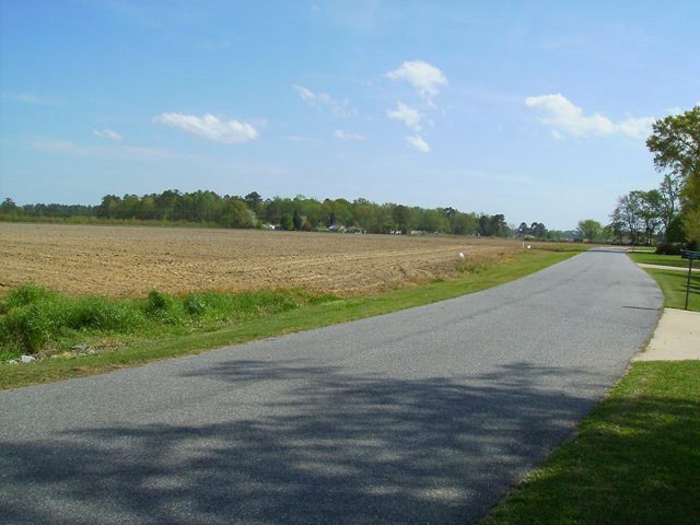 Primary Photo