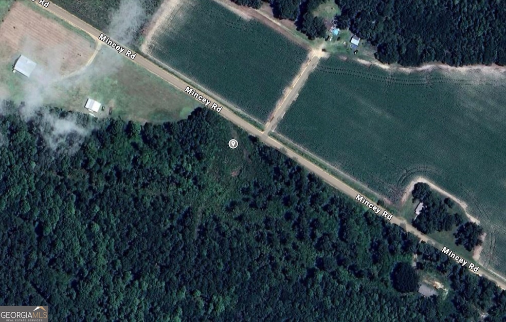 0 Mincey Rd unit 10654361, Brooklet, GA 30415 - photo 1
