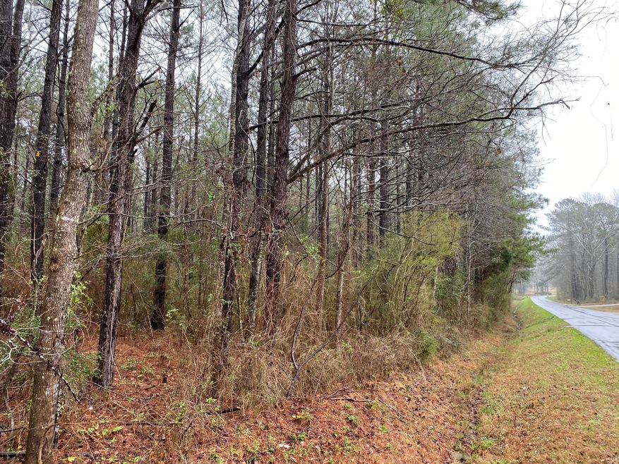 00 Maxey Rd, Laurel, MS 39443 - photo 1