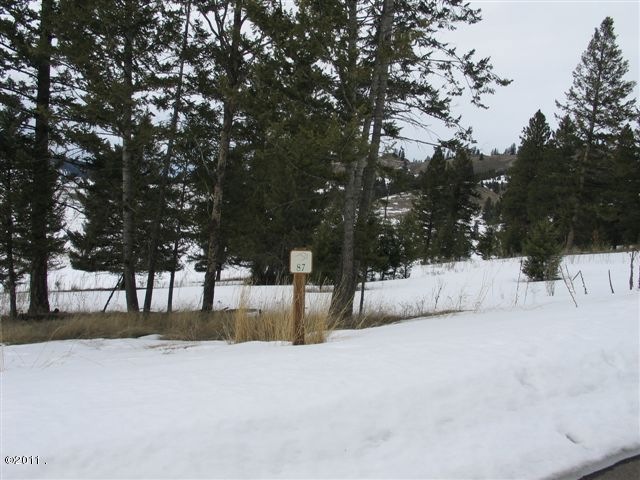 267 Bison Circle Dr, Kalispell, MT 59901 - photo 1