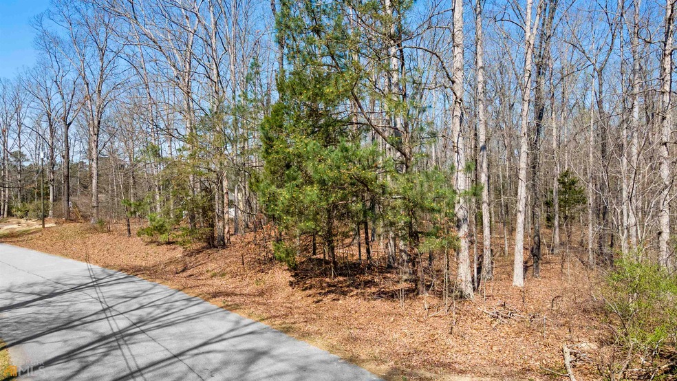 0 Brooks Dr unit 20108141, Stockbridge, GA 30281 - photo 1